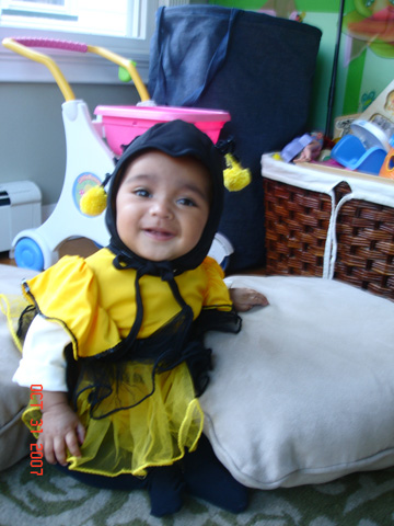 Daniella Bee
