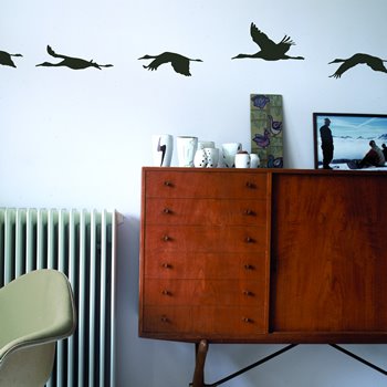 [birds.jpg]