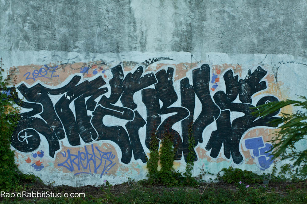 Rabid Rabbit Studio Portfolio South Florida Graffiti Hunting