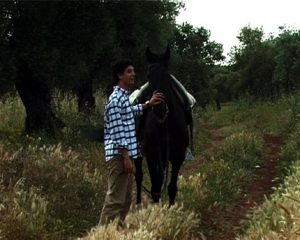 [ATÉ+A+MANHA+1BLG2.jpg]