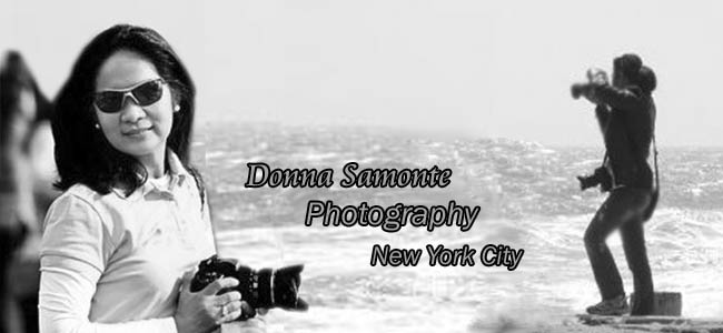Donna Samonte