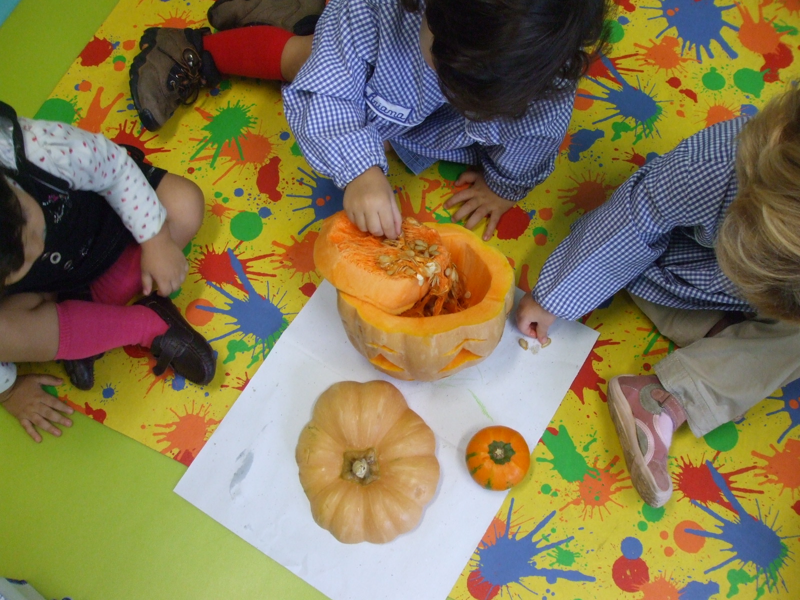 [ursitos+Outubro+312.jpg]