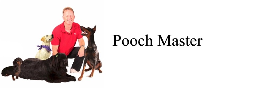 Pooch Master - Sam The Dog Trainer- Dog Training - Behaviorist