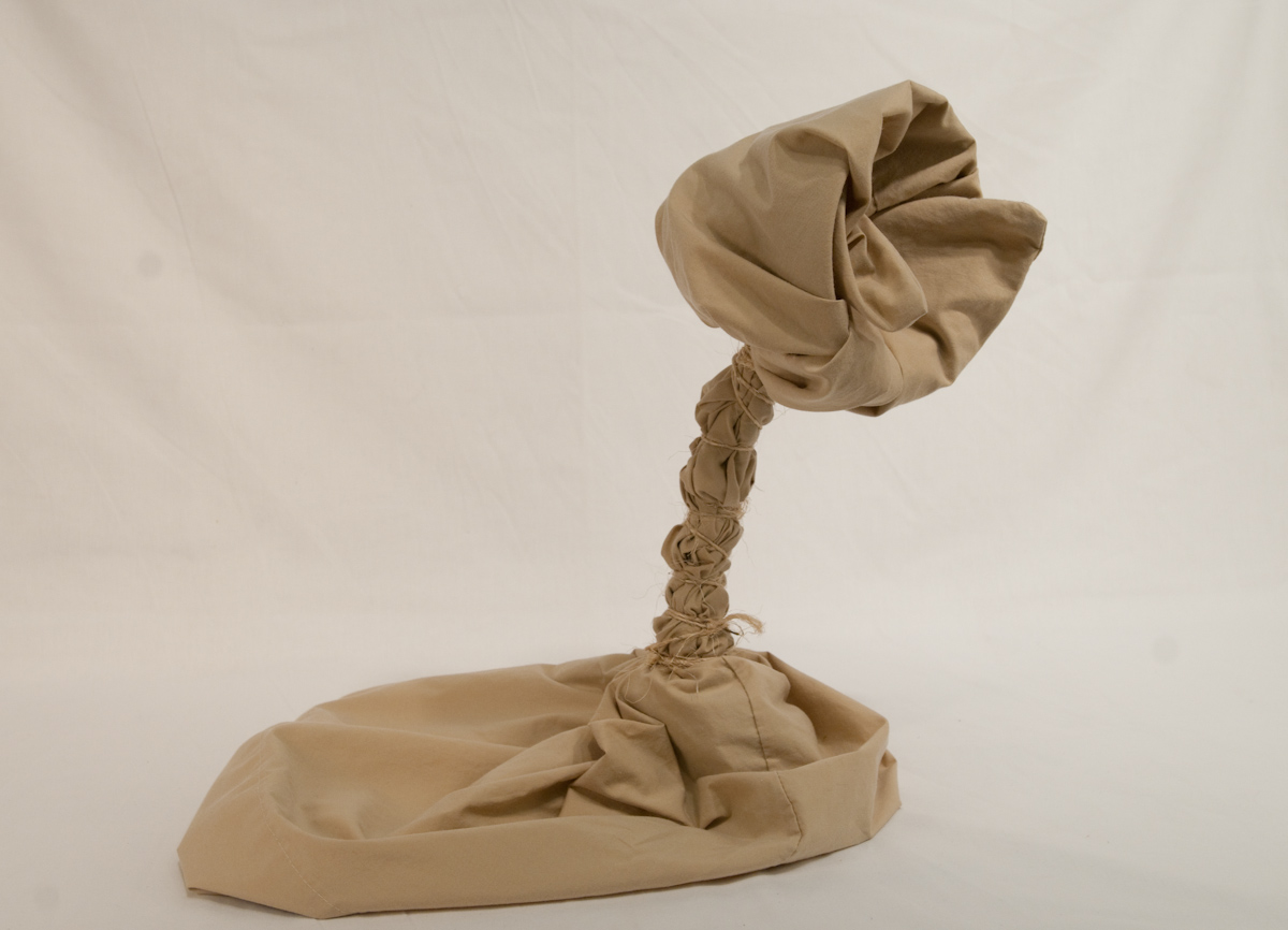 Introduction to the Studio Wrapped Object