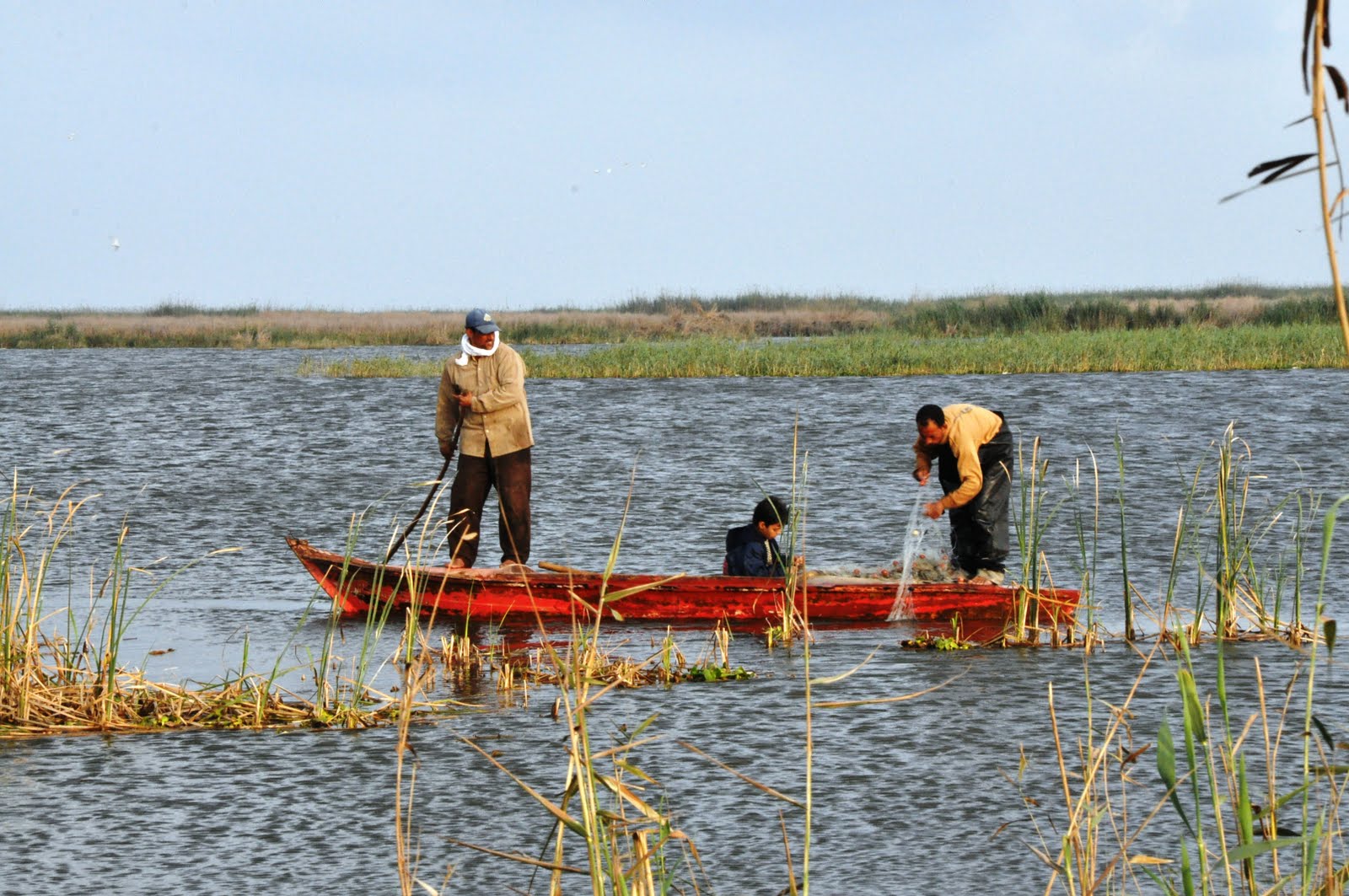 theStoryOfMyLIFE One Evening at Idku