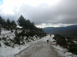 Primeras nieves 2010