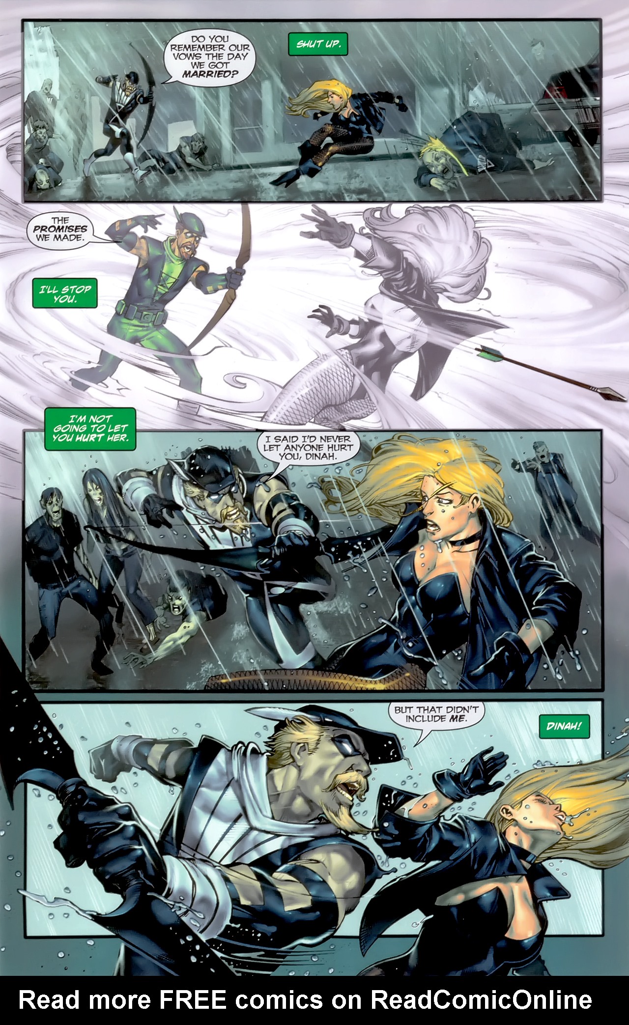 Green Arrow/Black Canary Issue #30 #30 - English 8