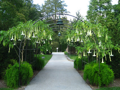 E.r.r.a.n.t: November 2009