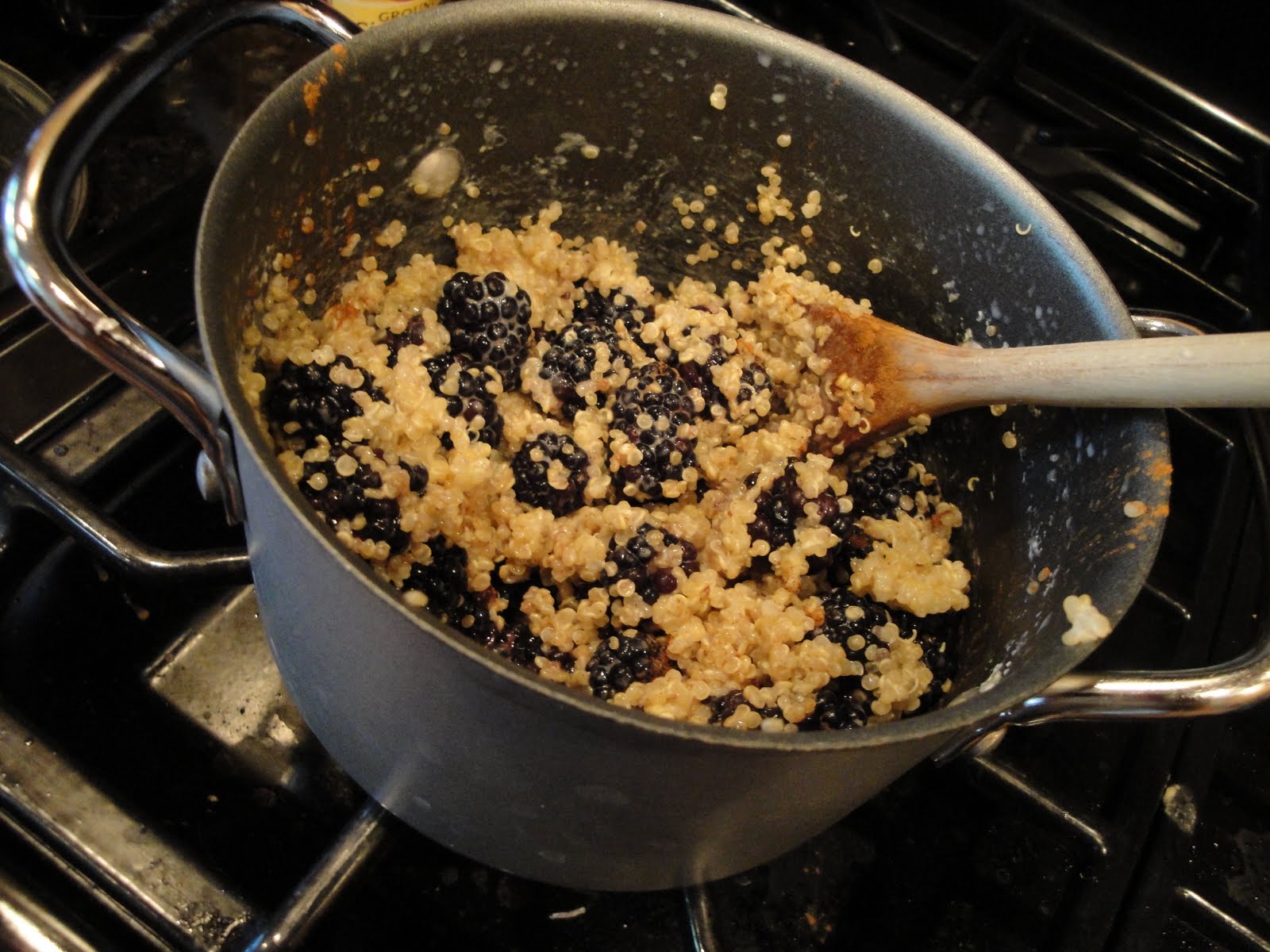 SquirrelsnSweets Healthy Warm BerryCinnamon Quinoa