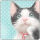 My photo