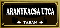 Aranykacsa u.