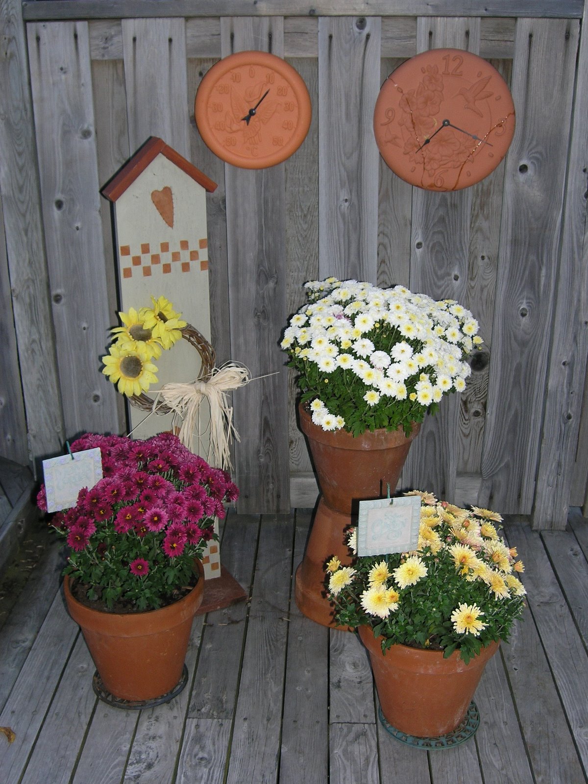 [fall+display.JPG]