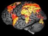 [mapa+cerebral+más+completo+de+la+inteligencia+humana.bmp]
