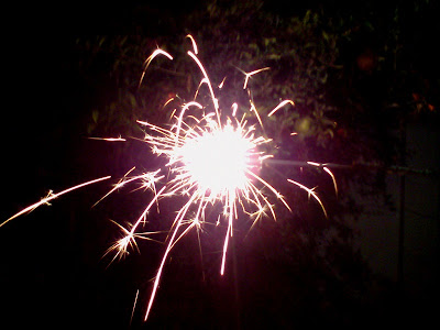 Deepavali Festival fireworks 