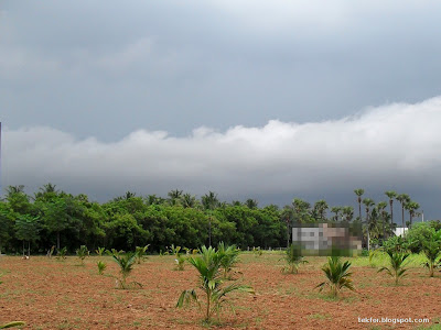 Rain Scenes