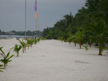 sugar beach - bantayan island