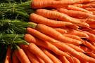 How to Grow Carrots
