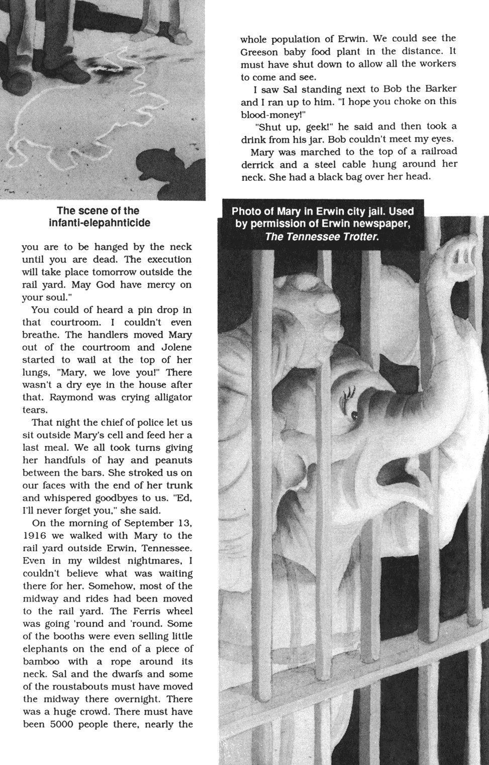 Dark Horse Presents (1986) Issue #38 #43 - English 20 Dark Horse Presents (1986) Issue #38 #43 - English 20
