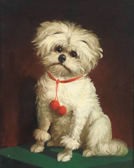Lithe Dog The Pet Museum: the lives times art and history of our pets: portrait ...