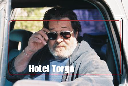 Hotel Torgo