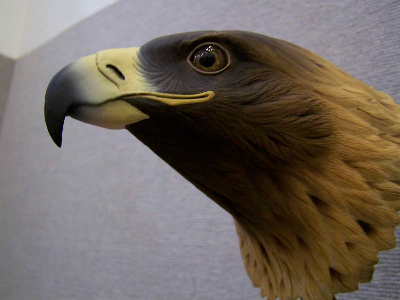 Dave's Cogitations 20100411