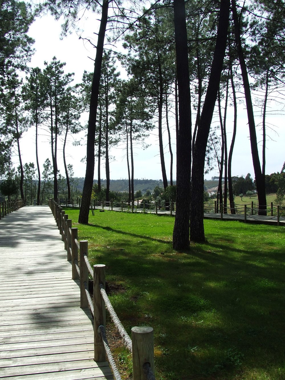 [passeio+abrantes4.jpg]