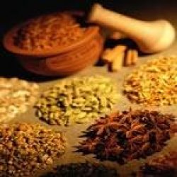 [şifalı+bitkiler.bmp]