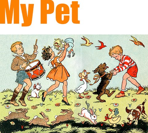 [pet.jpg]