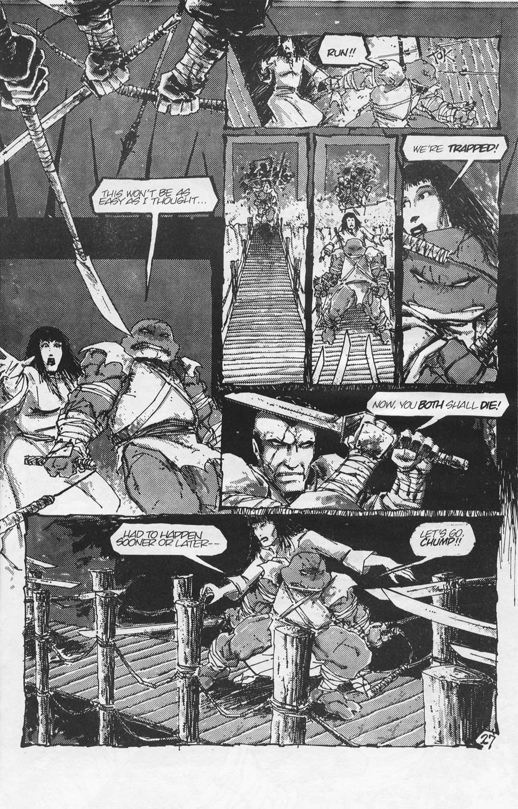 Teenage Mutant Ninja Turtles (1984) Issue #17 #17 - English 29
