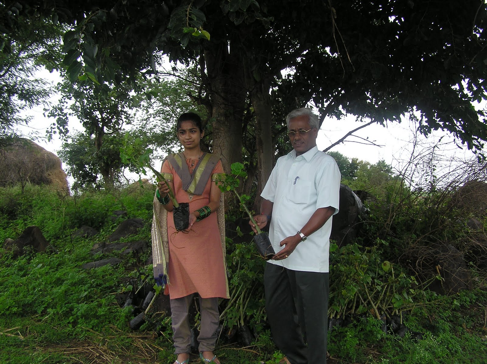 Project Jatropha June 2010