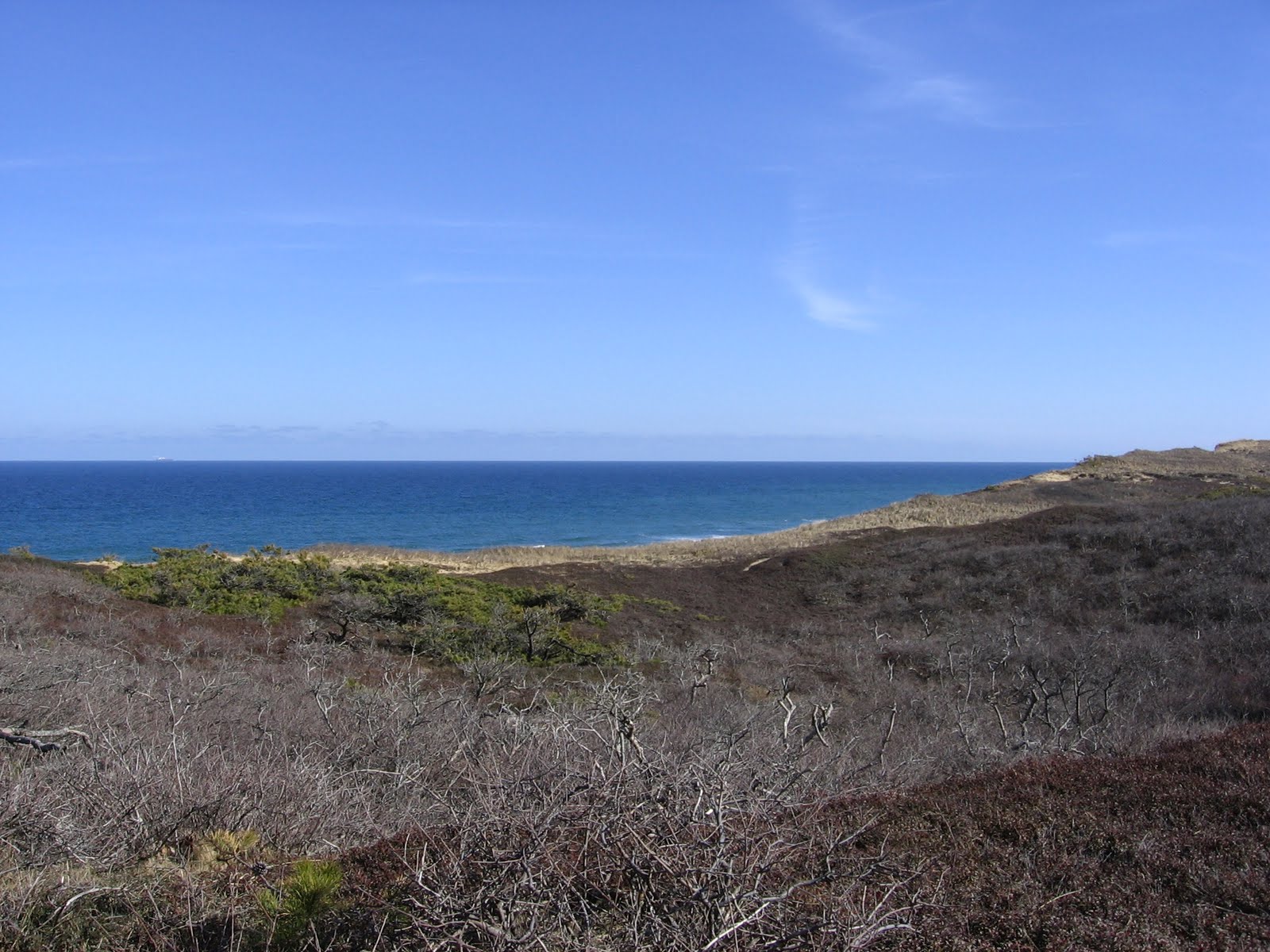 Chezsven Blog Wellfleet Today OuterCape Biking Question from Jackie