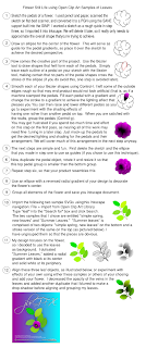 step-step instructions of the flower tutorial in png format