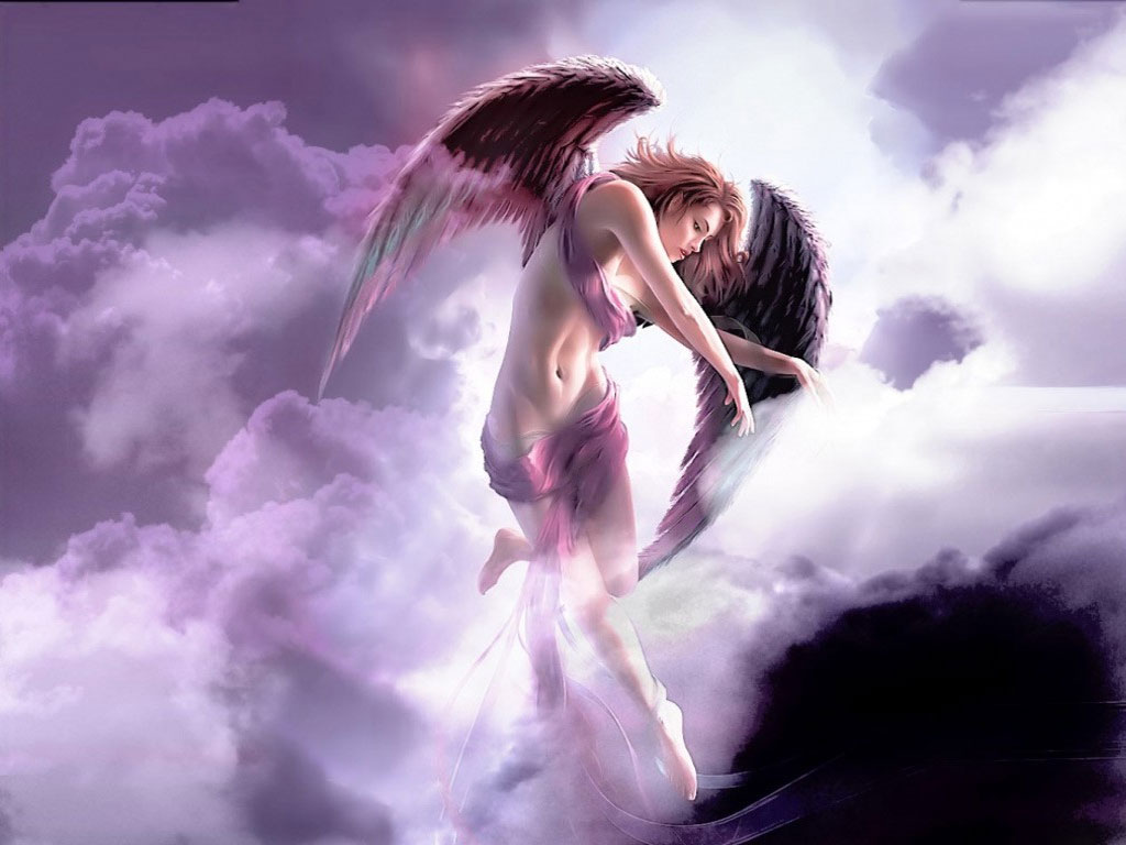 anjo13.jpg