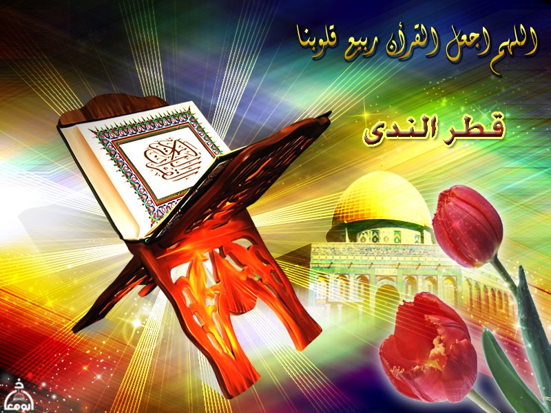 قطر الندى
