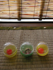 張り替えたばかりのすだれとガチャガチャのカプセル　