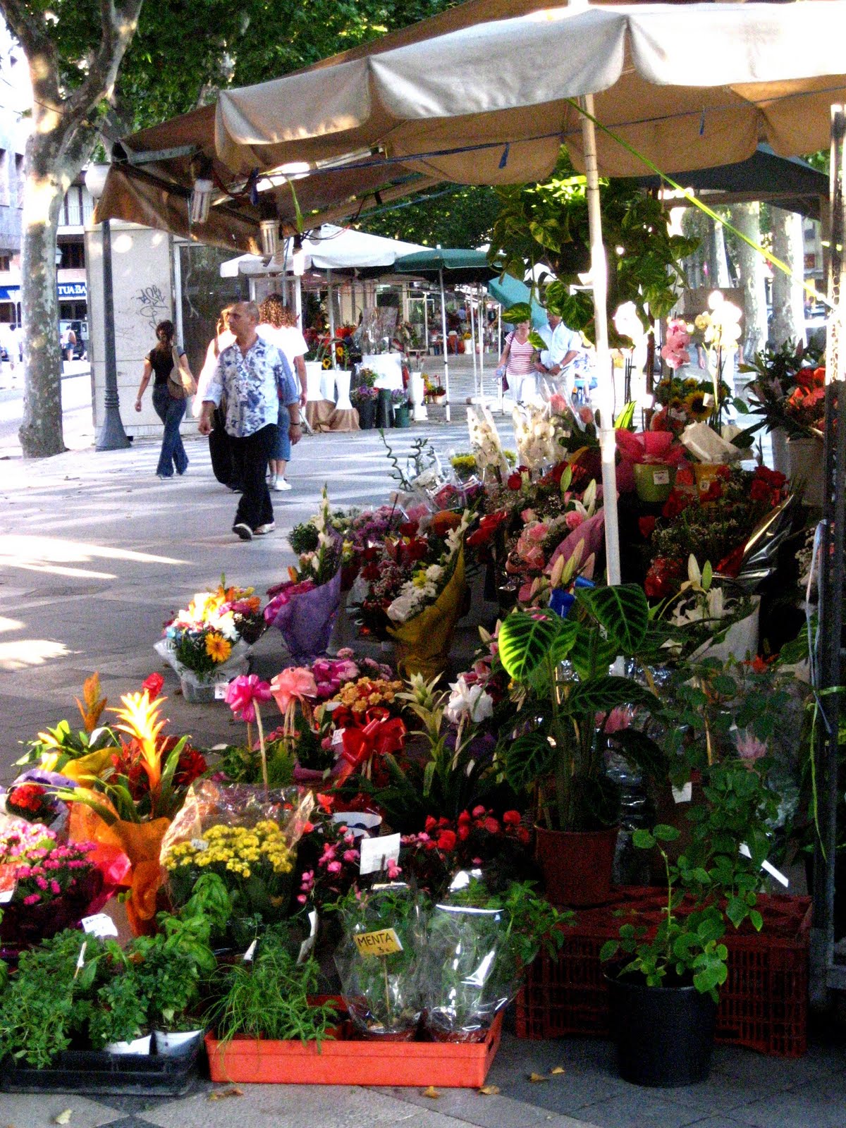 COVERED IN FARINE próxima parada Palma de Mallorca