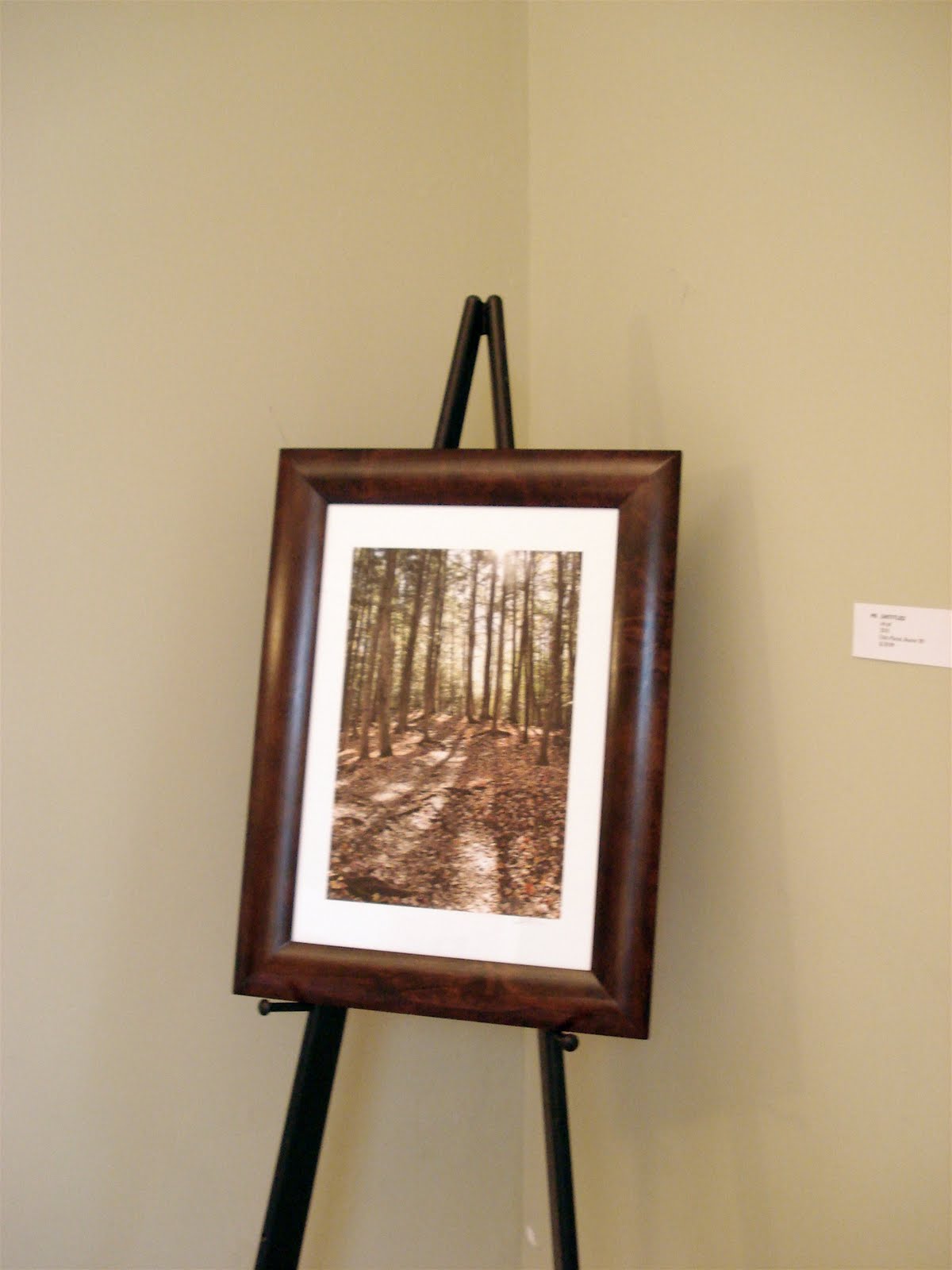 Miss Sara Lynn Mother Teresa Santarsiero Crane Estate Art Show. What a