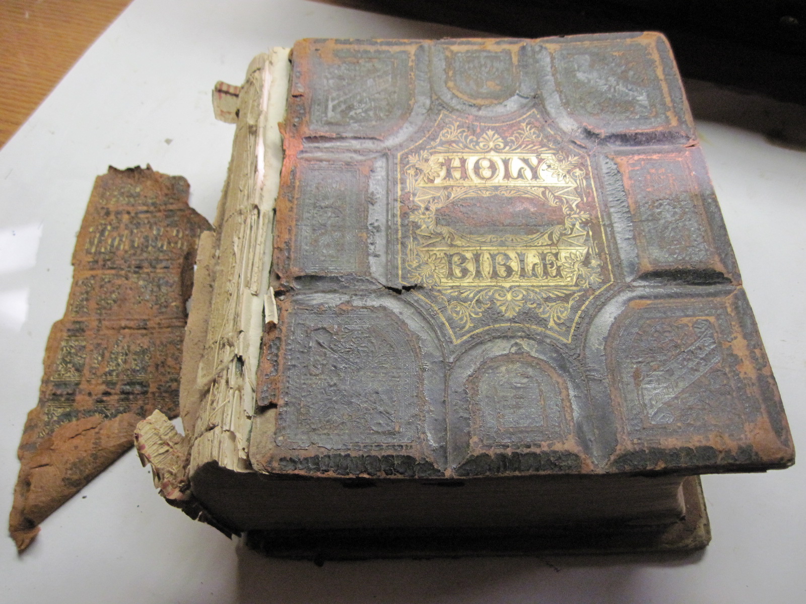 Fine Book Binding and Restoration Heirloom Bible Conservation/Restoration