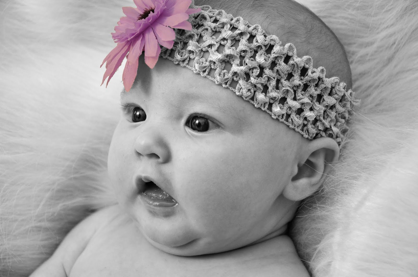 Shannon King Photography