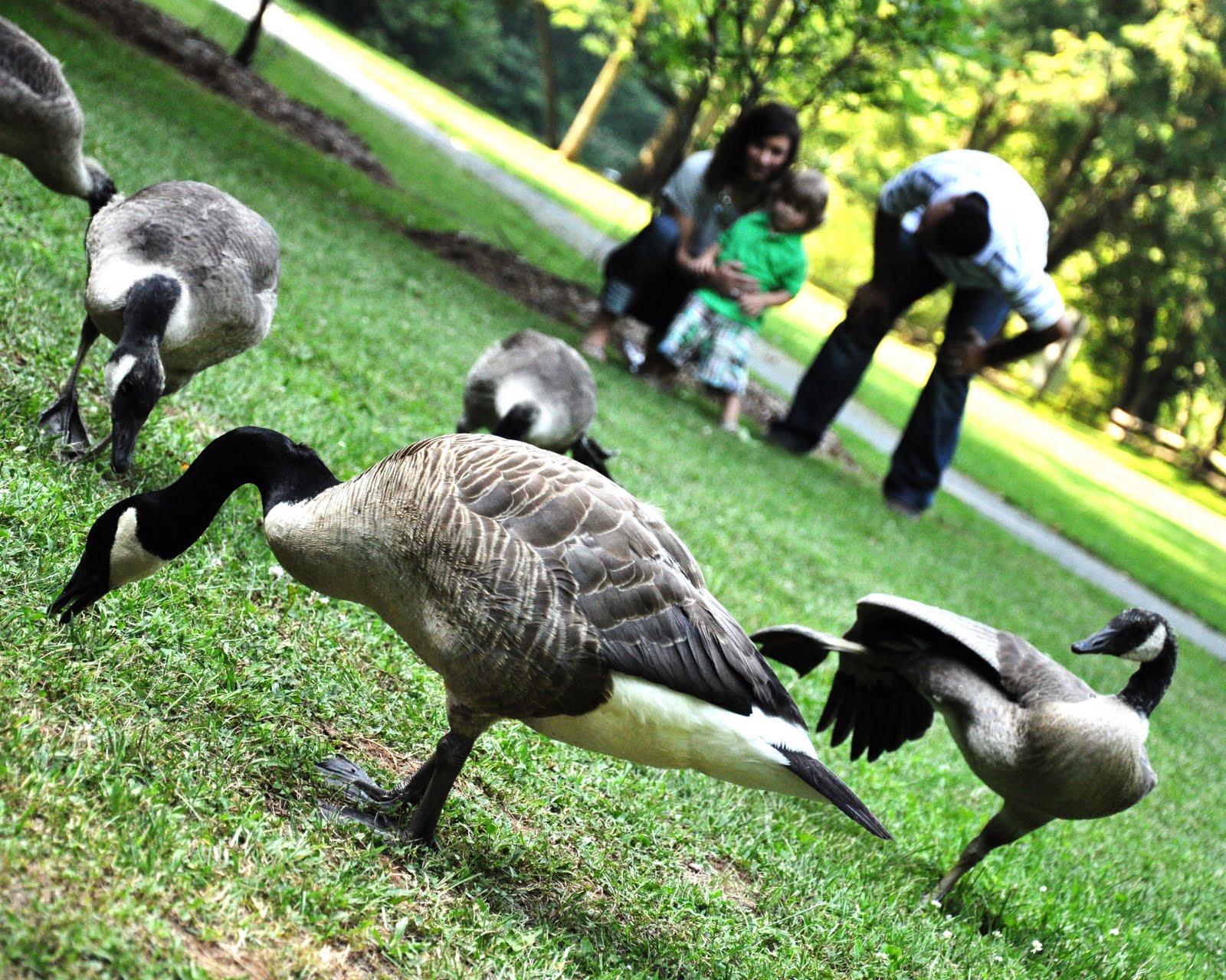 Shannon King Photography