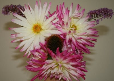 Dahlia puppy flower arrangement