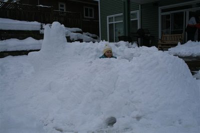 Snow fort