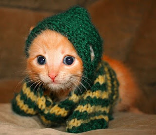  cat funny crochet