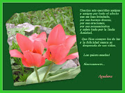 Reikijai: Feliz Día del Amor ... y La Amistad ... ¡!!