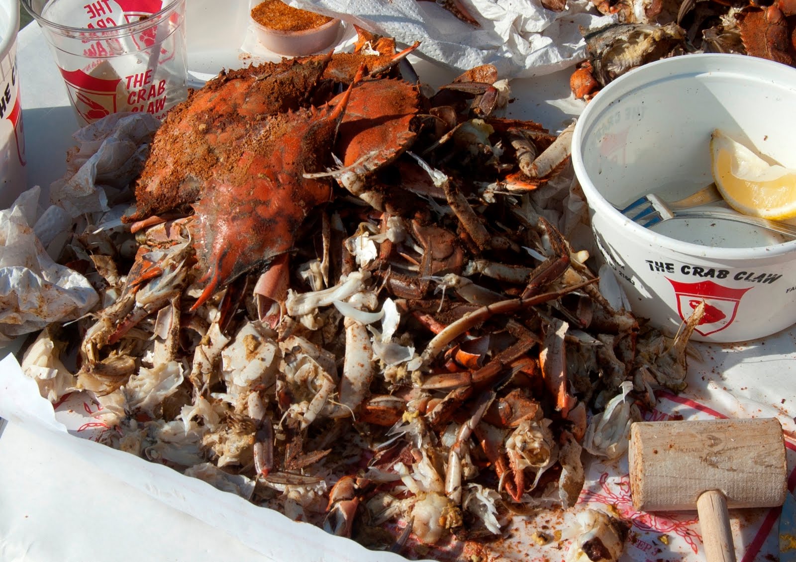 Destination Eats Maryland Blue Crab in Chesapeake Bay
