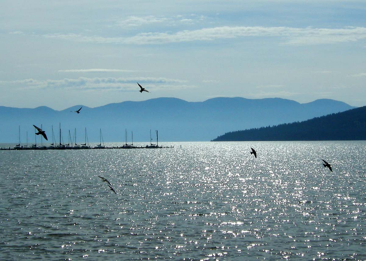 outside of the bubble Dayton Montana and Flathead Lake