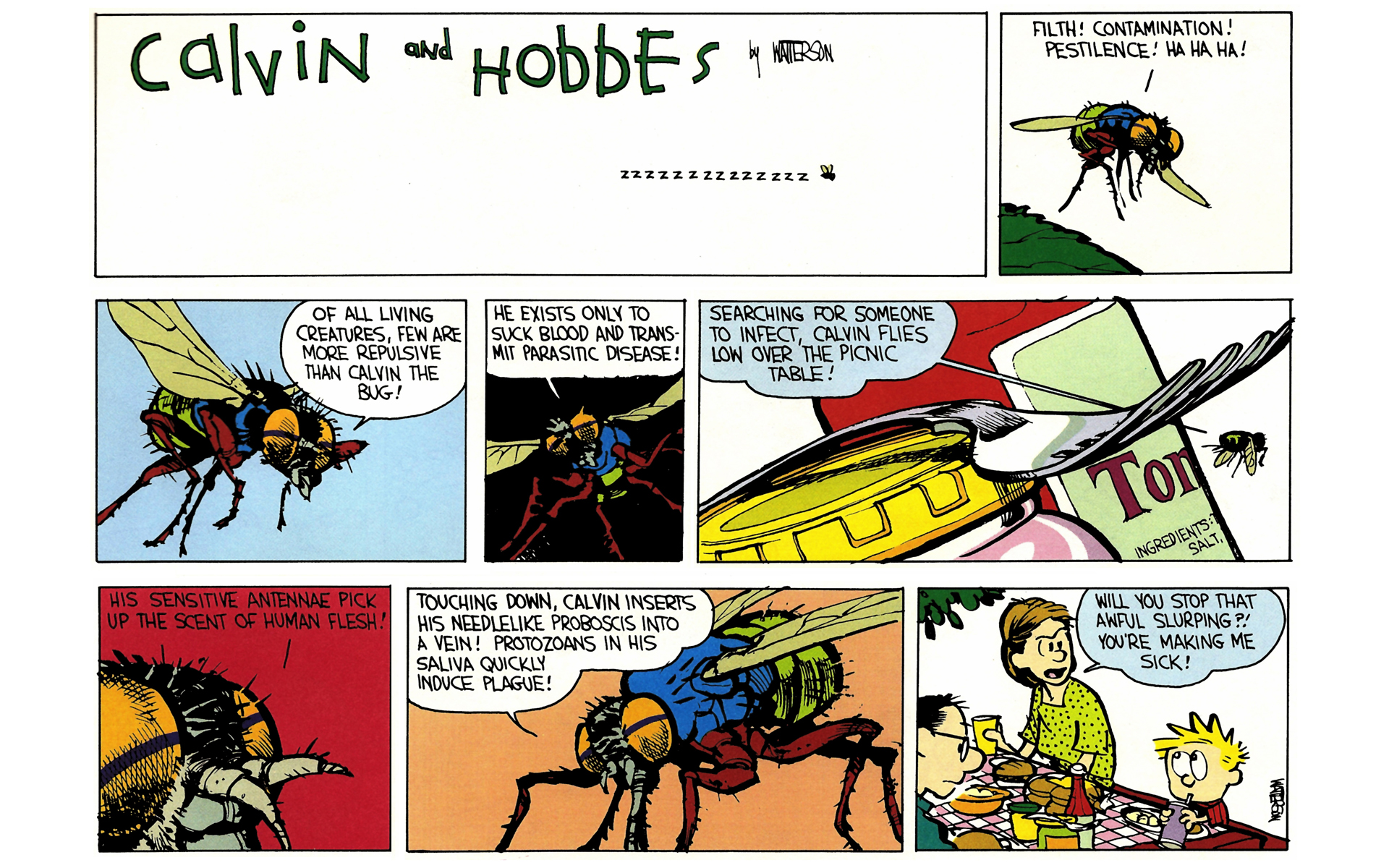 Read online Calvin and Hobbes comic -  Issue #4 - 60