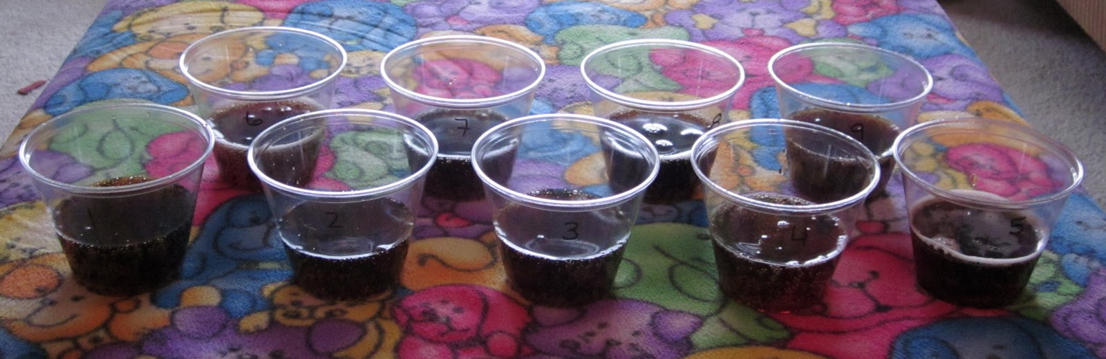 Northern Hospitality Root Beer Challenge