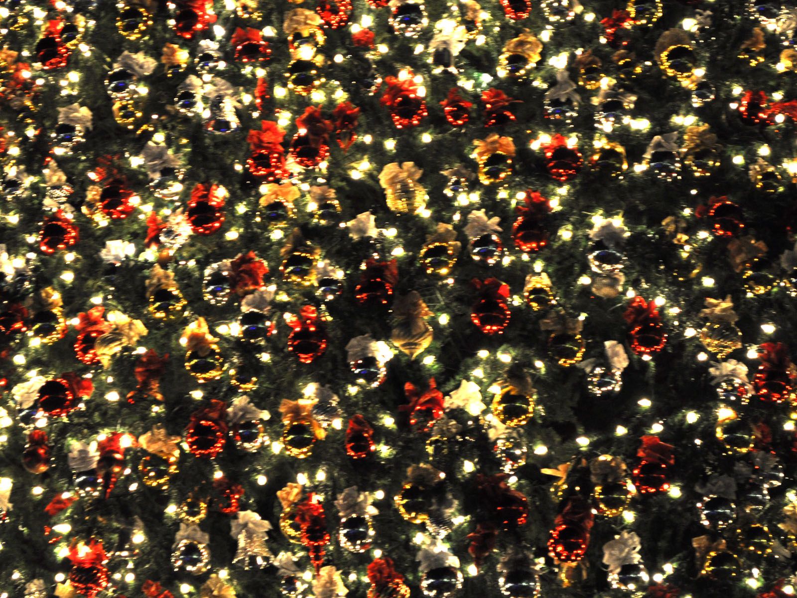 Top 21 the most spectacular & unique diy christmas tree ideas energy news: File:Roshan Safi At Fort Bliss.JPG Wikimedia Commons Images | Crazy