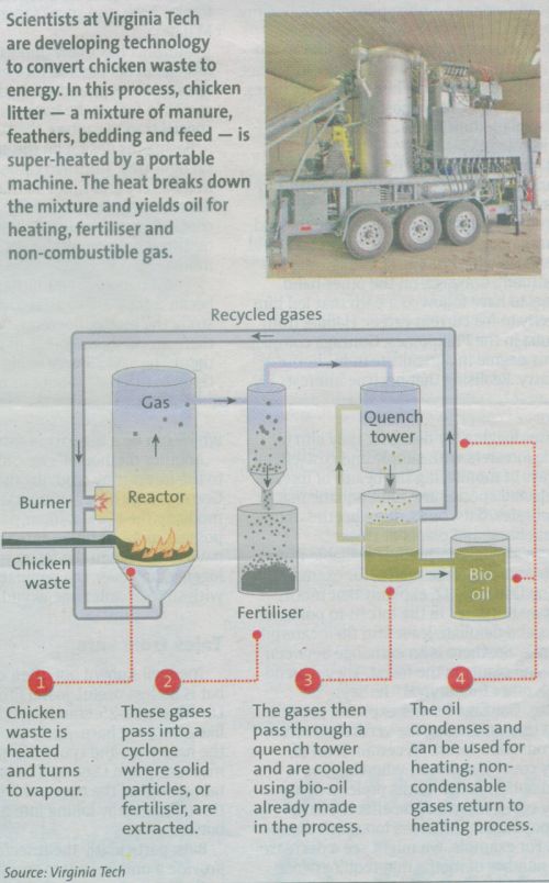 [chicken_waste.jpg]